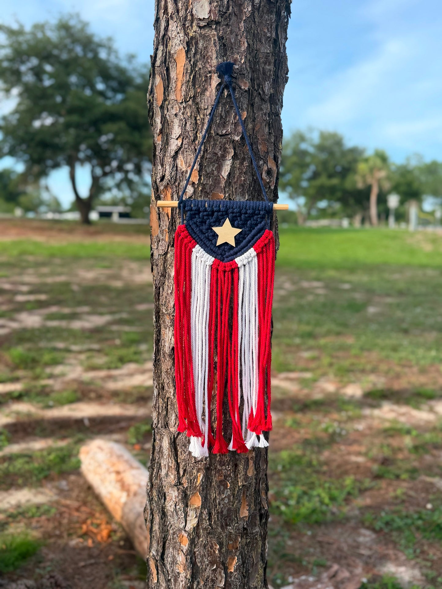 Bandera PR -Macrame